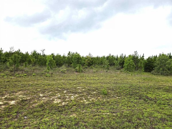 xxx NW Telogia Creek Estates W, Bristol, FL
