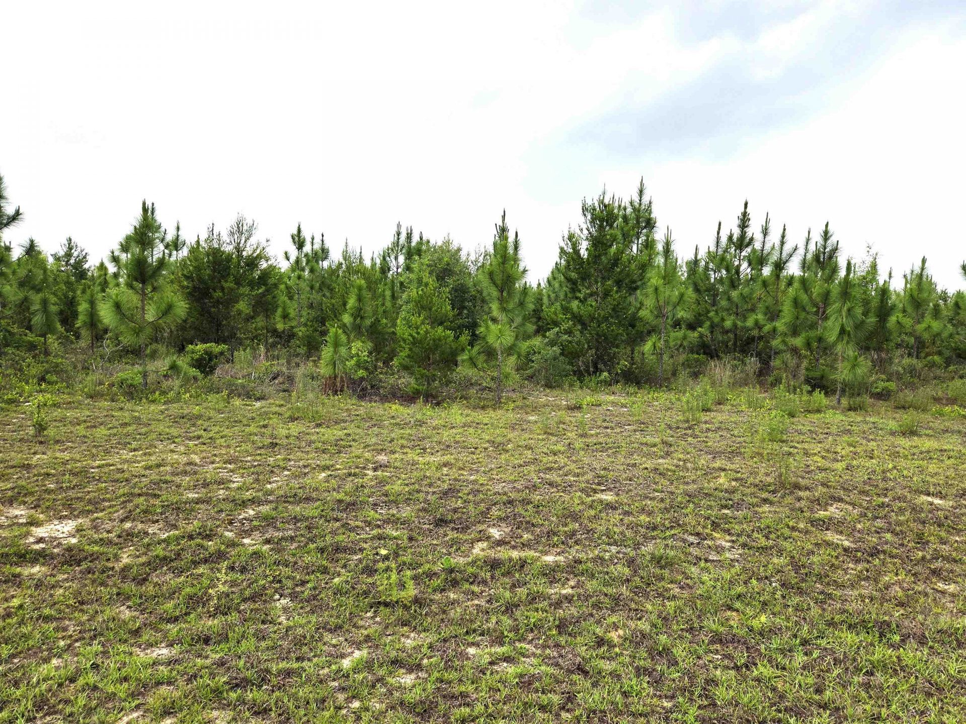 Xxx NW Telogia Creek Estates W, Bristol, FL 00000 Photo