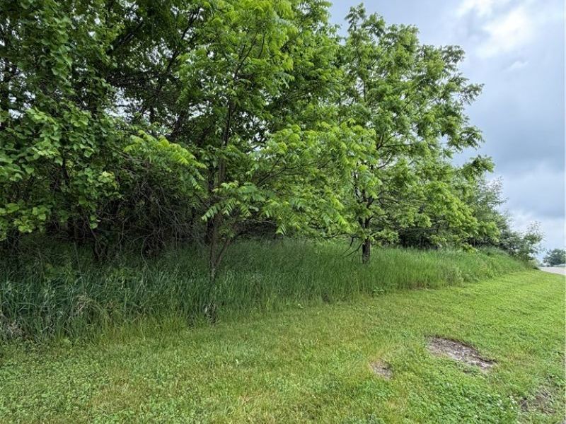 La Font Circle, Bolivar, OH 44612 Photo 3