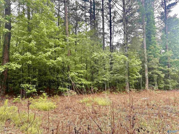 1508 Rabbittown Road, Glencoe, AL 35905