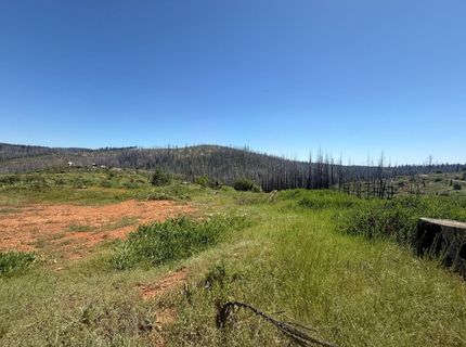 10340 Grizzly Flat Rd, Grizzly Flats, CA 95636 Photo