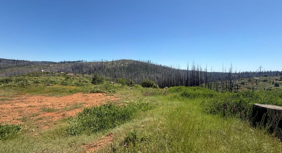 10340 Grizzly Flat Rd, Grizzly Flats, CA 95636 Photo