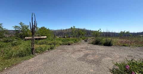 10340 Grizzly Flat Rd, Grizzly Flats, CA 95636 Photo