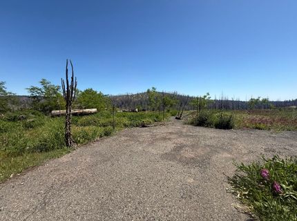 10340 Grizzly Flat Rd, Grizzly Flats, CA 95636 Photo