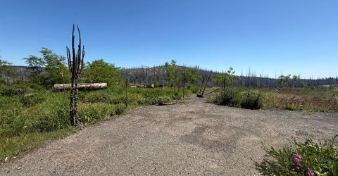10340 Grizzly Flat Rd, Grizzly Flats, CA 95636 Photo