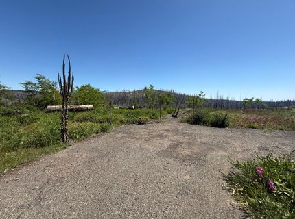 10340 Grizzly Flat Rd, Grizzly Flats, CA 95636 Photo