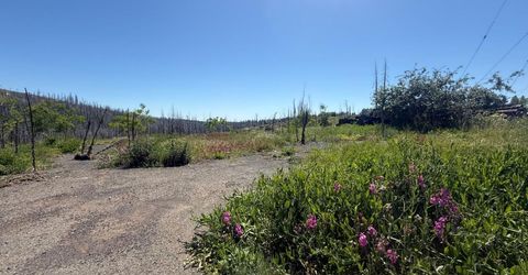 10340 Grizzly Flat Rd, Grizzly Flats, CA 95636 Photo