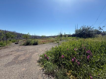 10340 Grizzly Flat Rd, Grizzly Flats, CA 95636 Photo