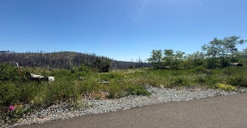 10340 Grizzly Flat Rd, Grizzly Flats, CA 95636 Photo