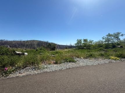 10340 Grizzly Flat Rd, Grizzly Flats, CA 95636 Photo