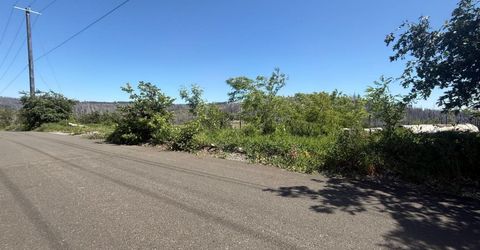 10340 Grizzly Flat Rd, Grizzly Flats, CA 95636 Photo