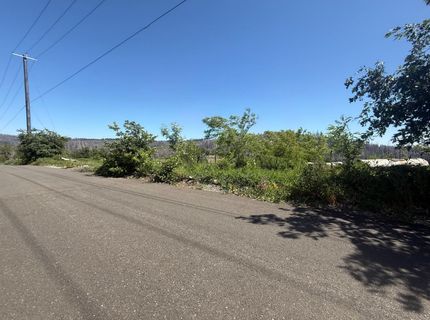 10340 Grizzly Flat Rd, Grizzly Flats, CA 95636 Photo