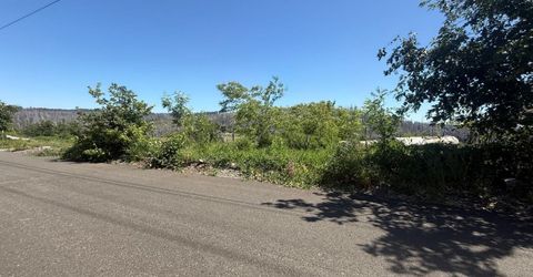 10340 Grizzly Flat Rd, Grizzly Flats, CA 95636 Photo