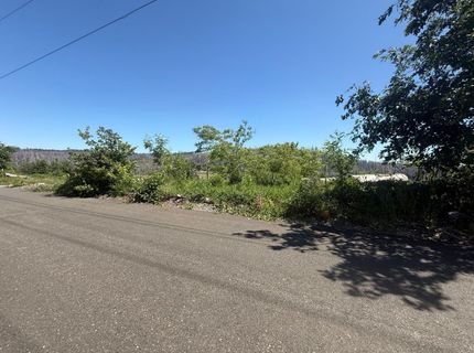 10340 Grizzly Flat Rd, Grizzly Flats, CA 95636 Photo