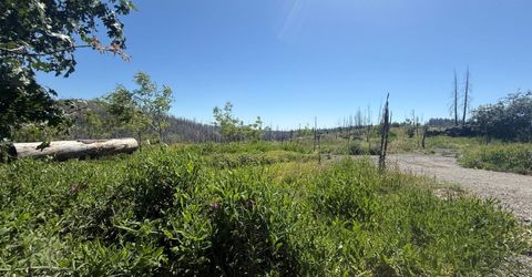 10340 Grizzly Flat Rd, Grizzly Flats, CA 95636 Photo