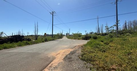 10340 Grizzly Flat Rd, Grizzly Flats, CA 95636 Photo