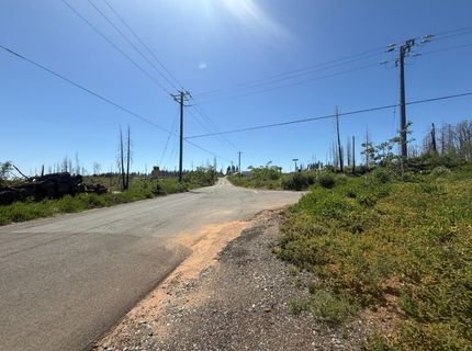 10340 Grizzly Flat Rd, Grizzly Flats, CA 95636 Photo