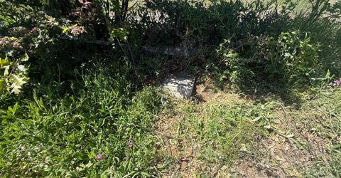 10340 Grizzly Flat Rd, Grizzly Flats, CA 95636 Photo