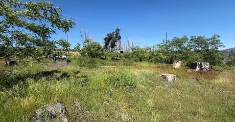 10340 Grizzly Flat Rd, Grizzly Flats, CA 95636 Photo