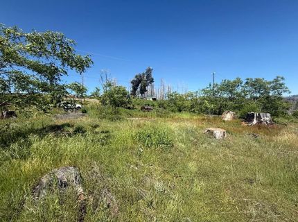 10340 Grizzly Flat Rd, Grizzly Flats, CA 95636 Photo