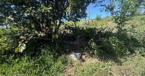 10340 Grizzly Flat Rd, Grizzly Flats, CA 95636 Photo