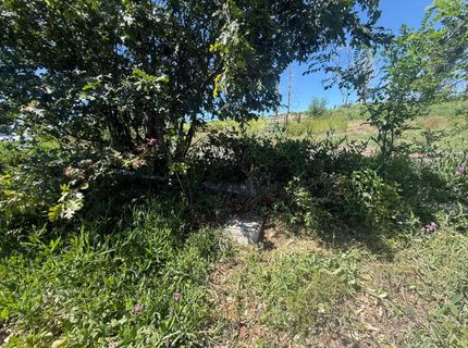 10340 Grizzly Flat Rd, Grizzly Flats, CA 95636 Photo