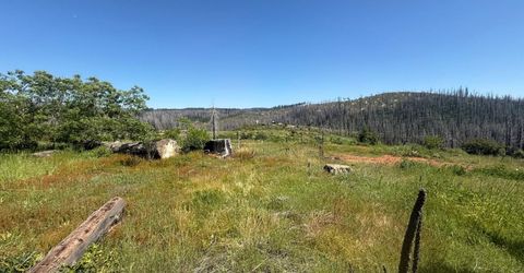 10340 Grizzly Flat Rd, Grizzly Flats, CA 95636 Photo