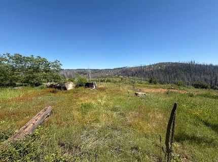 10340 Grizzly Flat Rd, Grizzly Flats, CA 95636 Photo