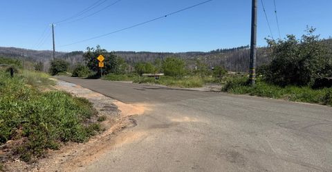 10340 Grizzly Flat Rd, Grizzly Flats, CA 95636 Photo