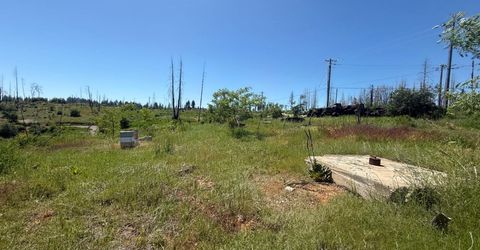 10340 Grizzly Flat Rd, Grizzly Flats, CA 95636 Photo