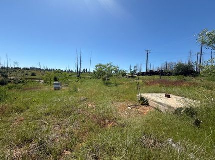 10340 Grizzly Flat Rd, Grizzly Flats, CA 95636 Photo