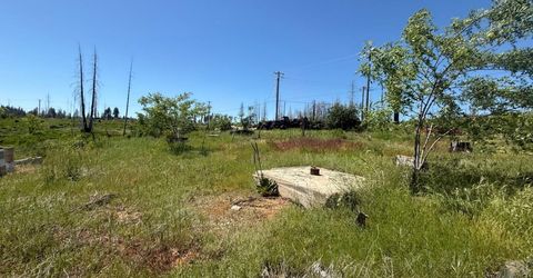 10340 Grizzly Flat Rd, Grizzly Flats, CA 95636 Photo