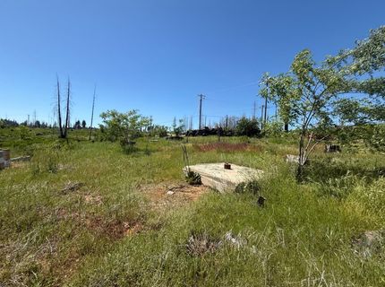 10340 Grizzly Flat Rd, Grizzly Flats, CA 95636 Photo