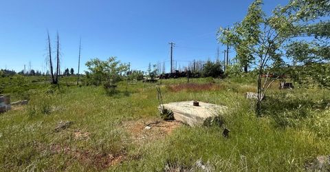 10340 Grizzly Flat Rd, Grizzly Flats, CA 95636 Photo