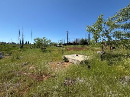 10340 Grizzly Flat Rd, Grizzly Flats, CA 95636 Photo