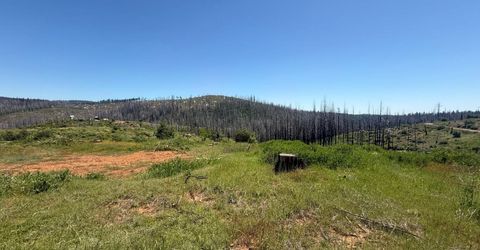 10340 Grizzly Flat Rd, Grizzly Flats, CA 95636 Photo