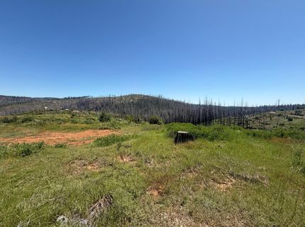 10340 Grizzly Flat Rd, Grizzly Flats, CA 95636 Photo