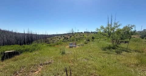10340 Grizzly Flat Rd, Grizzly Flats, CA 95636 Photo