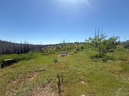 10340 Grizzly Flat Rd, Grizzly Flats, CA 95636 Photo