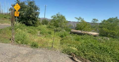 10340 Grizzly Flat Rd, Grizzly Flats, CA 95636 Photo