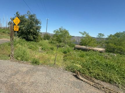 10340 Grizzly Flat Rd, Grizzly Flats, CA 95636 Photo