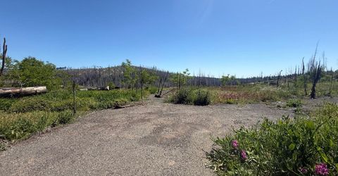 10340 Grizzly Flat Rd, Grizzly Flats, CA 95636 Photo