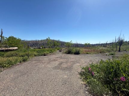 10340 Grizzly Flat Rd, Grizzly Flats, CA 95636 Photo