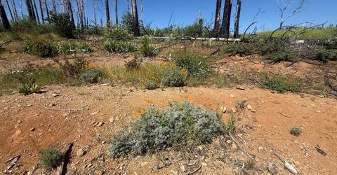 7350 S View Dr, Grizzly Flats, CA 95636 Photo