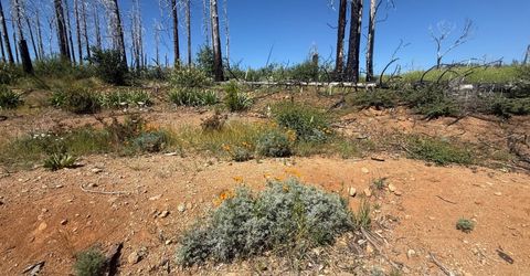7350 S View Dr, Grizzly Flats, CA 95636 Photo