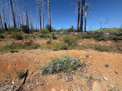 7350 S View Dr, Grizzly Flats, CA 95636 Photo