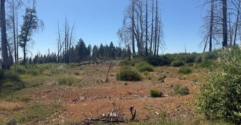 7350 S View Dr, Grizzly Flats, CA 95636 Photo