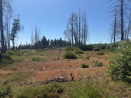 7350 S View Dr, Grizzly Flats, CA 95636 Photo
