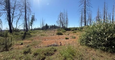 7350 S View Dr, Grizzly Flats, CA 95636 Photo