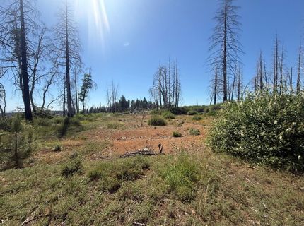 7350 S View Dr, Grizzly Flats, CA 95636 Photo